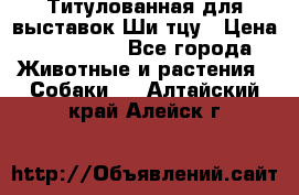 Титулованная для выставок Ши-тцу › Цена ­ 100 000 - Все города Животные и растения » Собаки   . Алтайский край,Алейск г.